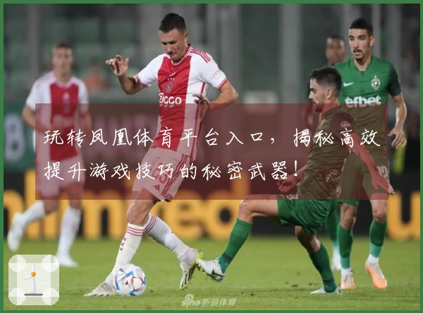 玩转凤凰体育平台入口，揭秘高效提升游戏技巧的秘密武器！