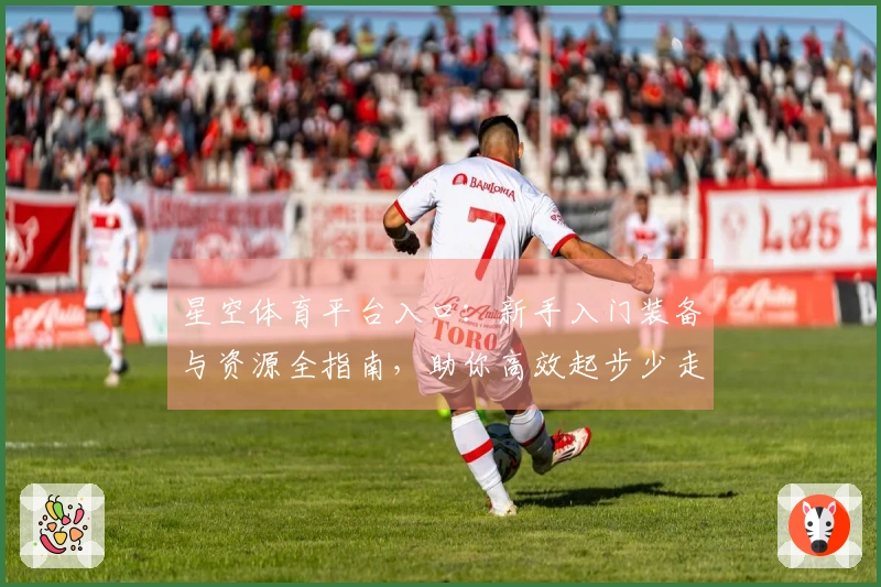 星空体育平台入口：新手入门装备与资源全指南，助你高效起步少走弯路