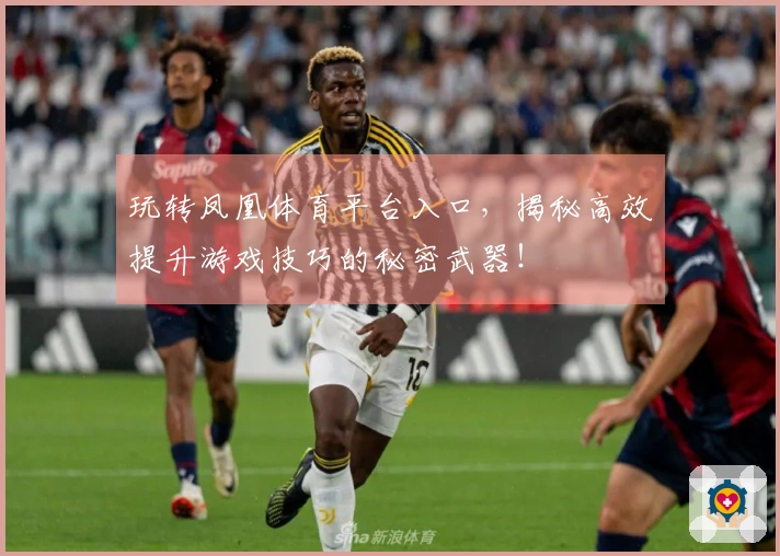 玩转凤凰体育平台入口，揭秘高效提升游戏技巧的秘密武器！