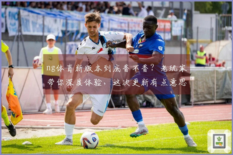ng体育新版本到底香不香？老玩家带你深度体验，这次更新有点意思！