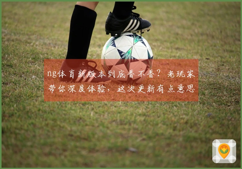 ng体育新版本到底香不香？老玩家带你深度体验，这次更新有点意思！